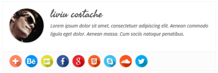 Simple Author Box WordPress Plugin Screenshot
