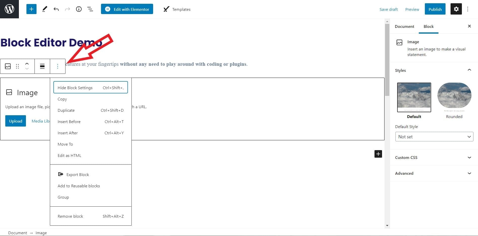 Gutenberg Blocks Editor Demo Settings